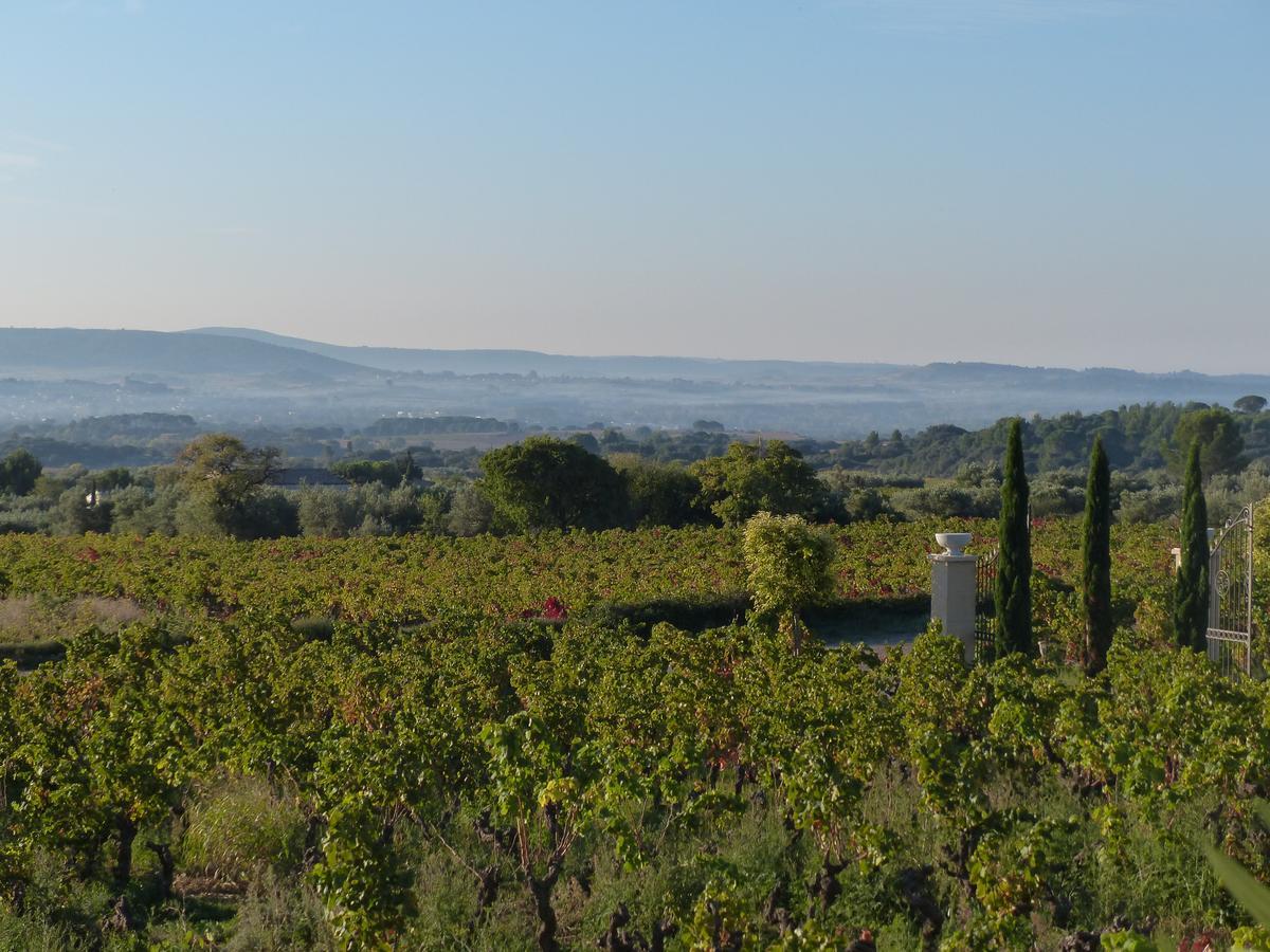 Chateau De Valloubiere-Gite Saint-Jean-de-Fos Zewnętrze zdjęcie